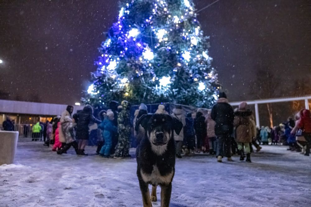 Photograph by Сергей Хабаров