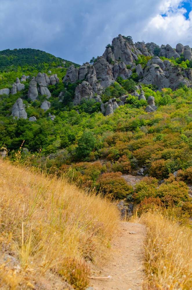 Photograph by Sveta_Poln