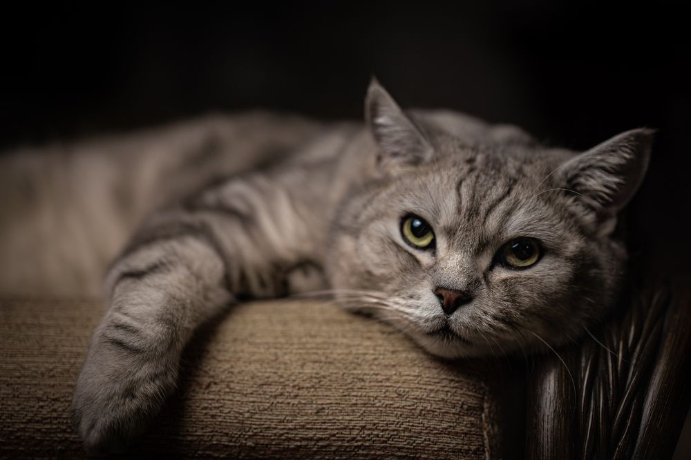 Photograph by Светлана Рубникович