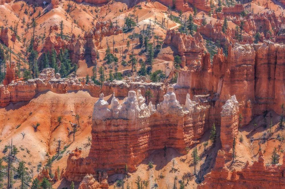 Фотография автора Анатолий