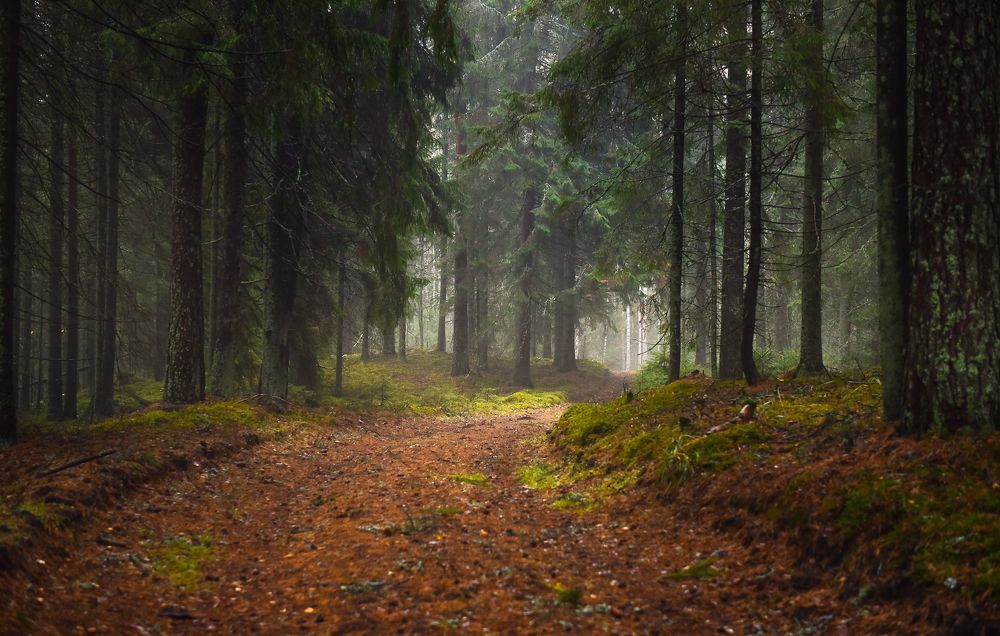 Photograph by Наталья Сергеева