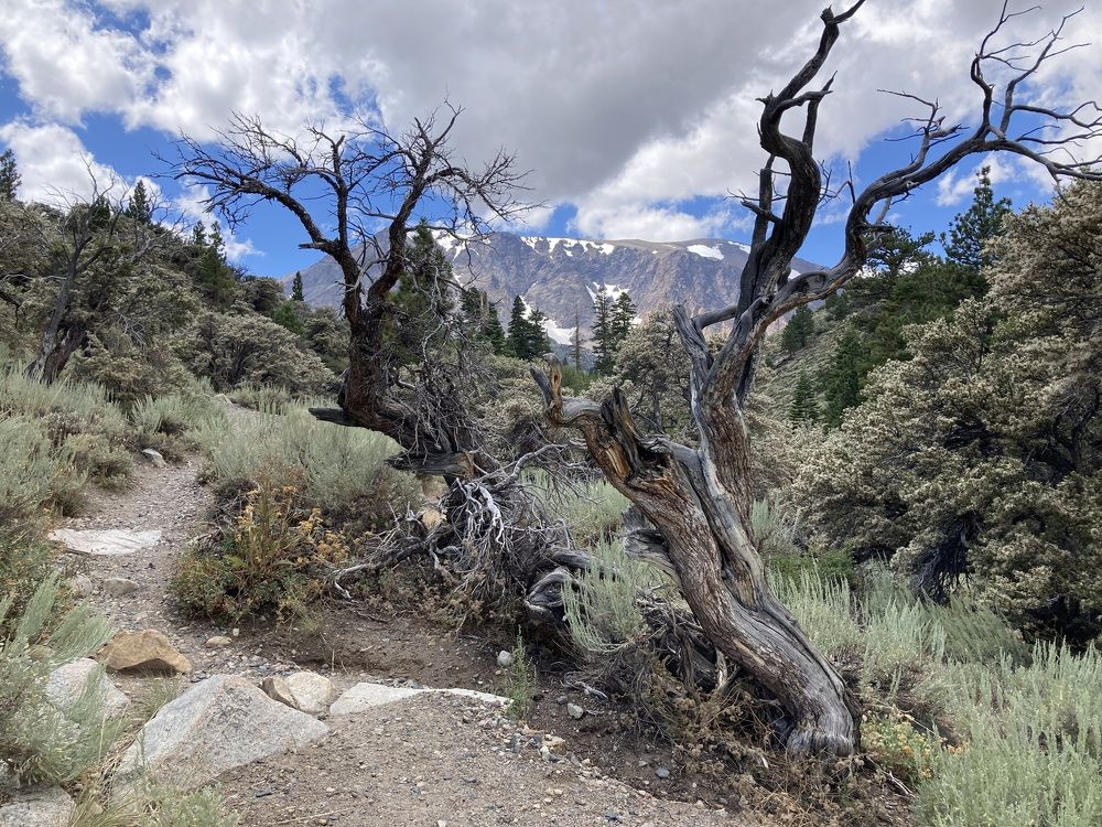 Фотография автора Елена