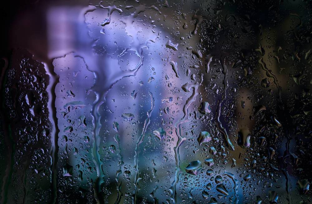 Photograph by Boris Bekelman