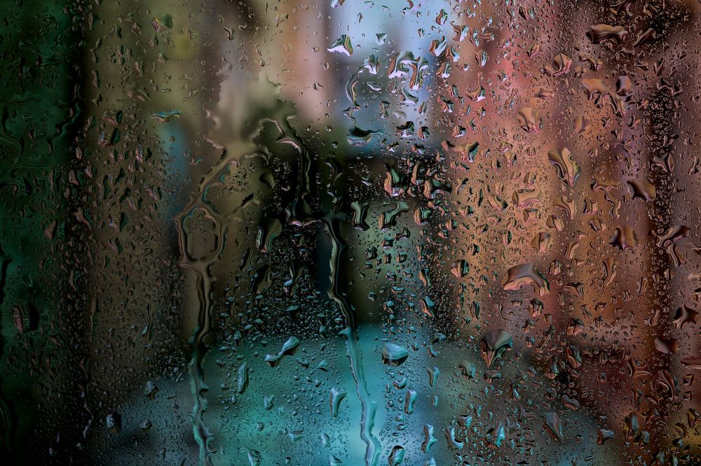 Photograph by Boris Bekelman