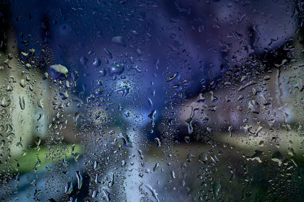 Photograph by Boris Bekelman