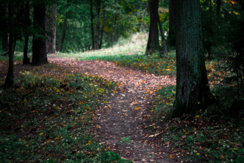 Photograph by Dmitriy Anisimov