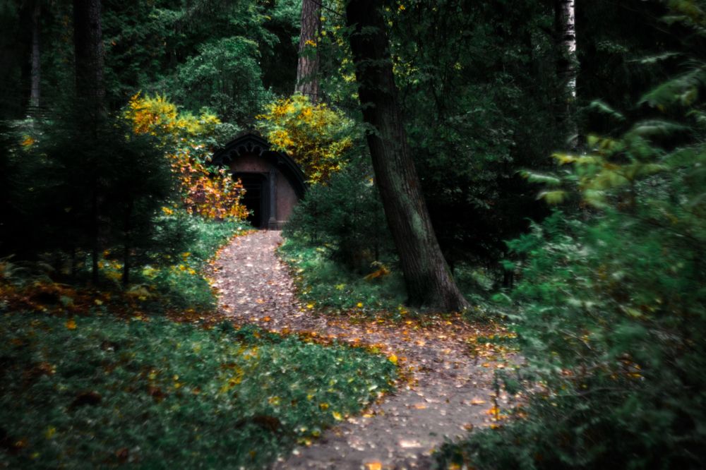 Photograph by Dmitriy Anisimov