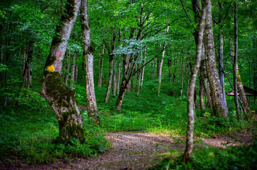 Photograph by Крупченко Роман