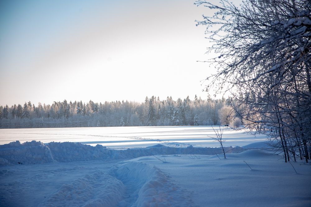Фотография автора Станислава Гордеева