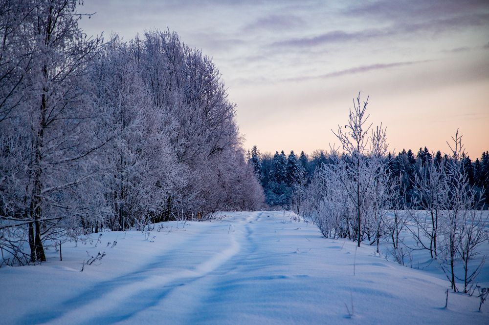 Фотография автора Станислава Гордеева