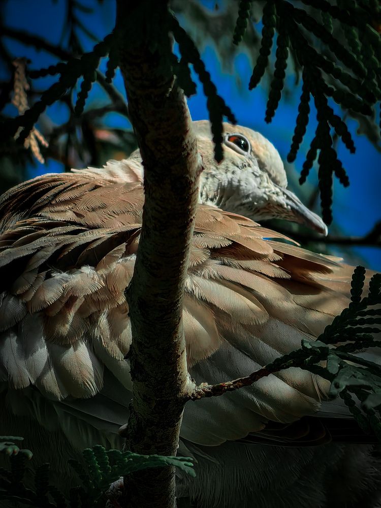 Photograph by Sergey