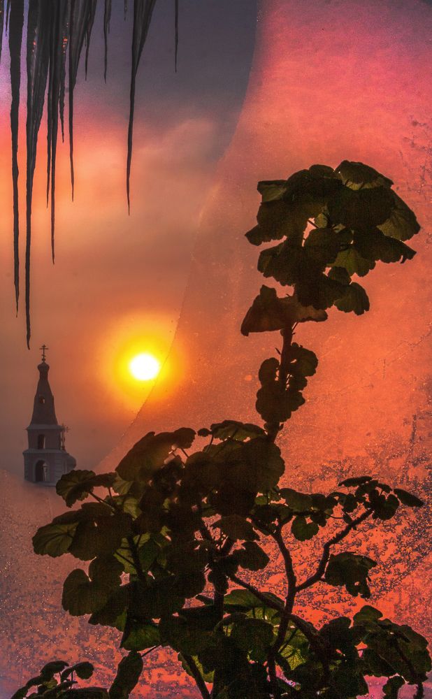 Photograph by Тамара Андреева