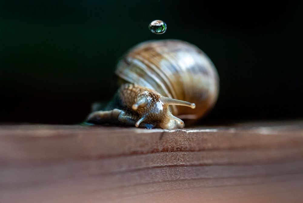 Photograph by Isidora Nikolić