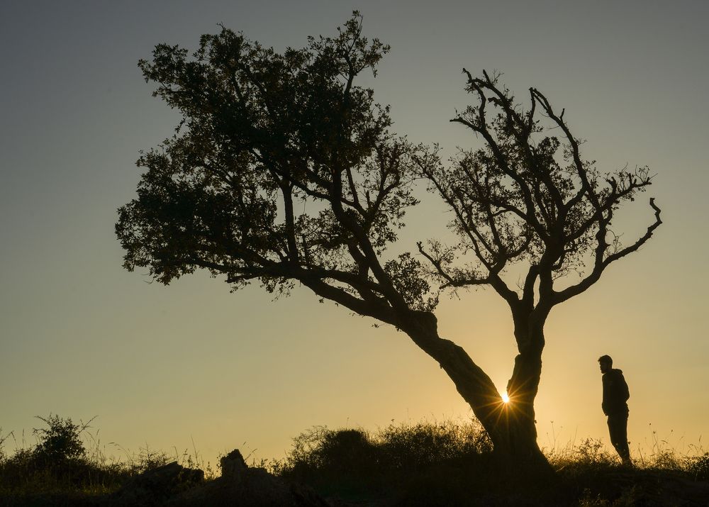 Photograph by David Dores