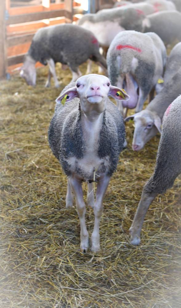 Photograph by Ljudmilla Pavljutsenkova