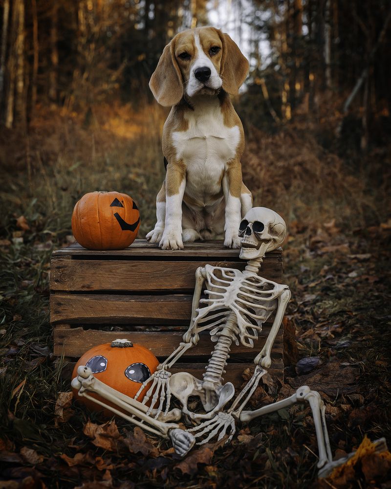 Photograph by Anna Sindikayeva