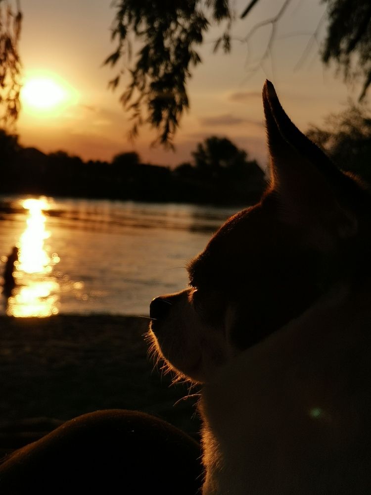 Photograph by Олеся Герман