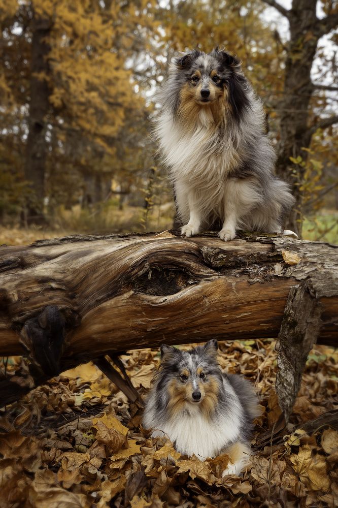 Photograph by Anna Sindikayeva