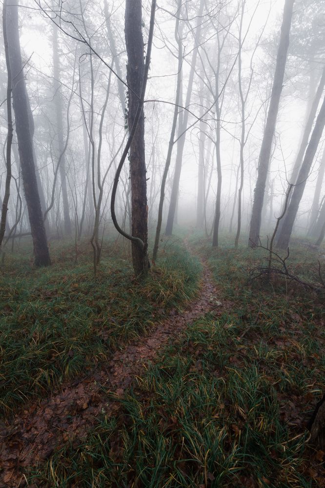 Photograph by Fahrudin Seferagić