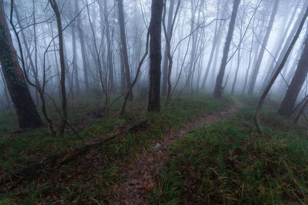 Photograph by Fahrudin Seferagić