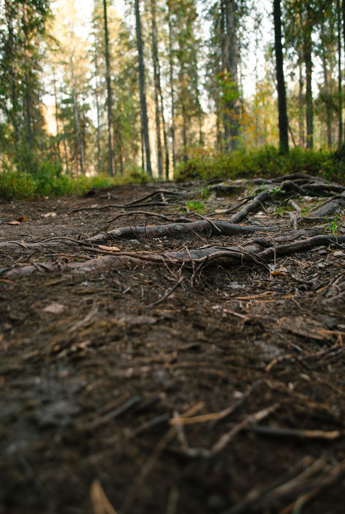 Photograph by Валентина Ивашова