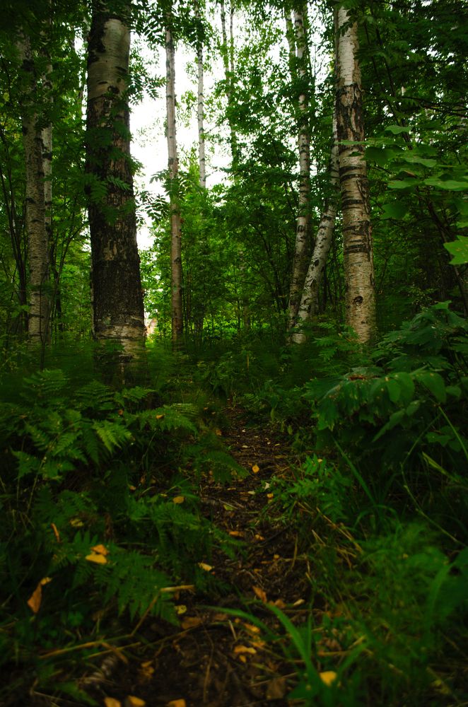 Photograph by Валентина Ивашова