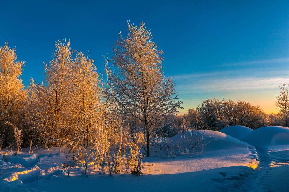 Photograph by Валентин Кузьмин