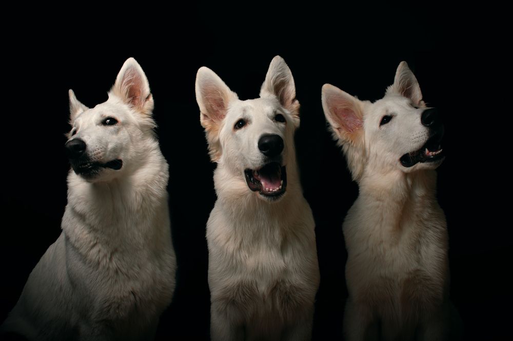 Photograph by Павел Зайцев