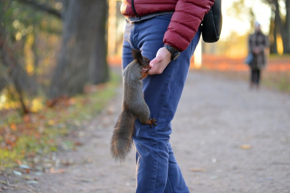Фотография автора Валерий Жданов