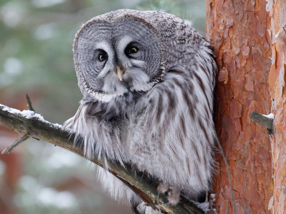 Photograph by Алексей Прокопенков