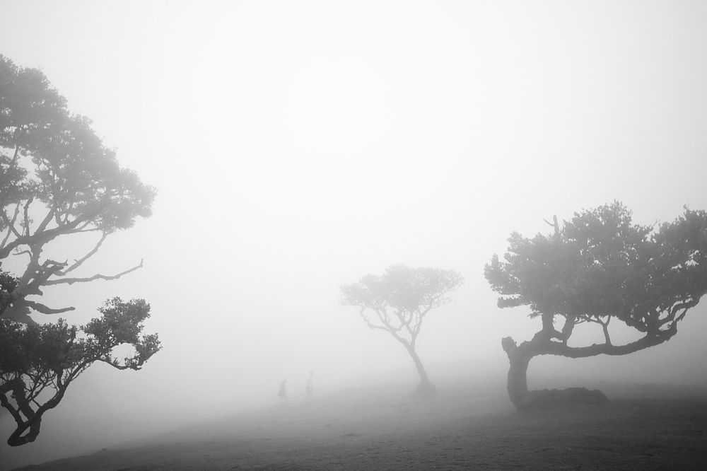 Photo #11241034