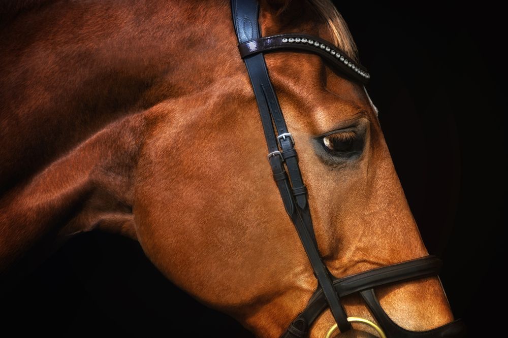 Photograph by Глухарёва Ольга