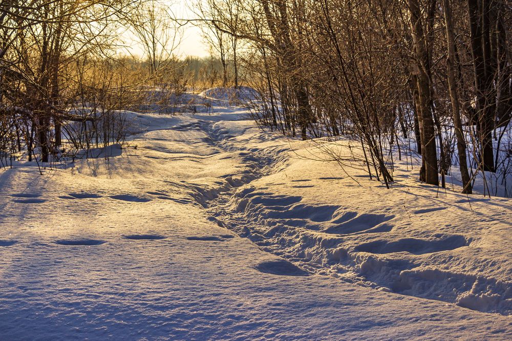 Photograph by Sergey Tsubanov