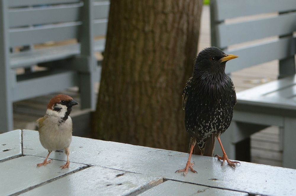 Фотография автора Валерий Жданов