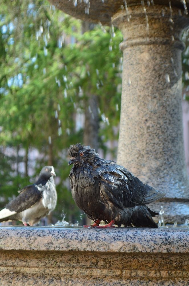 Фотография автора Валерий Жданов