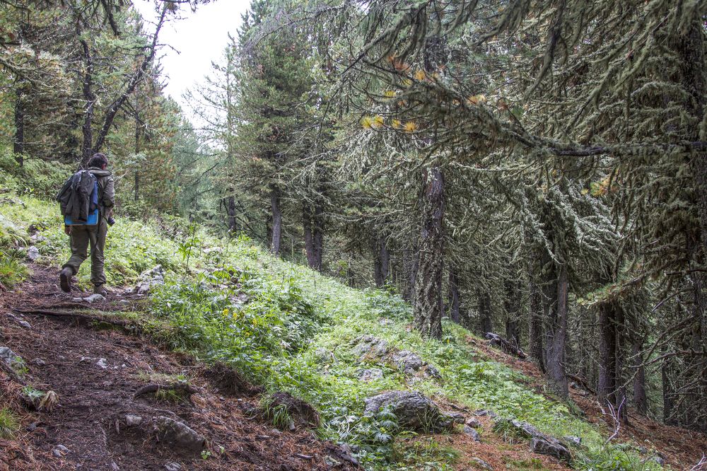 Photograph by Тамара Андреева