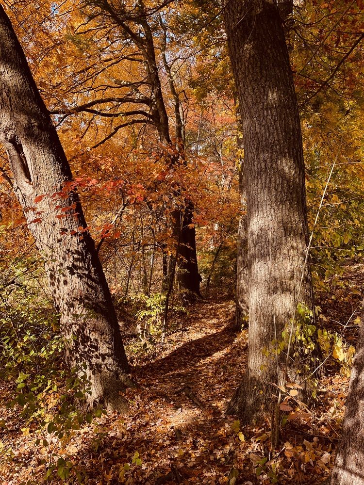 Фотография автора Olga Andriuc