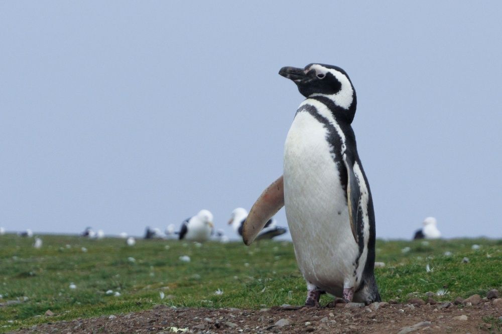 Photograph by Paula Torrent