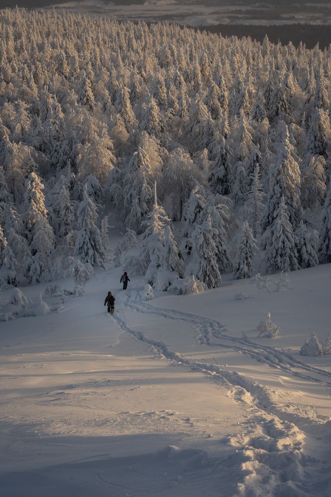 Photograph by Светлана Зимина