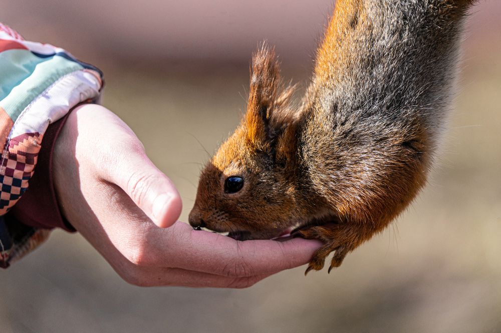 Фотография автора Julia A Caesar