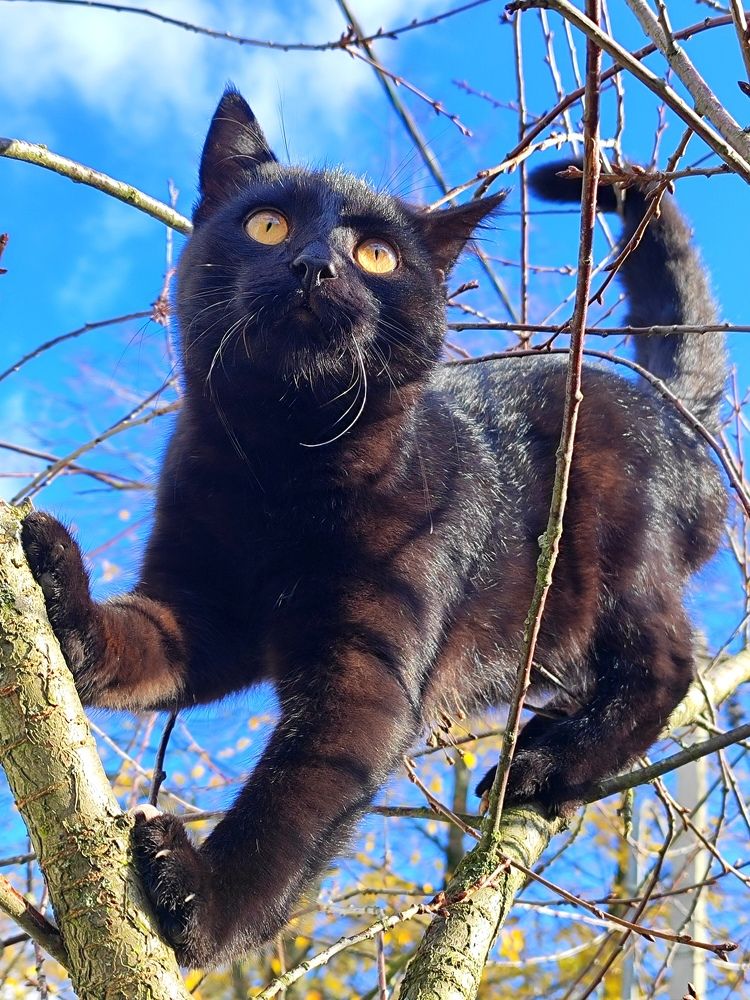 Photograph by Екатерина Борисовна Кузьмина