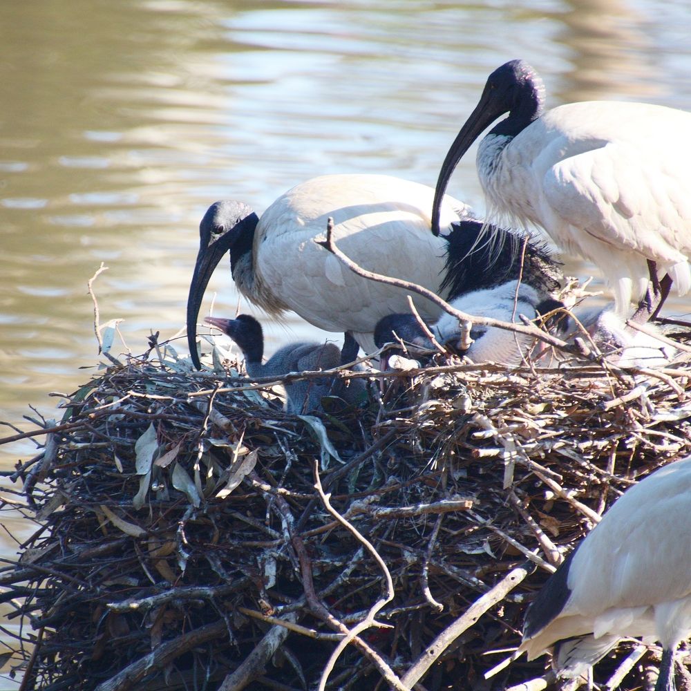 Фотография автора Paula Torrent