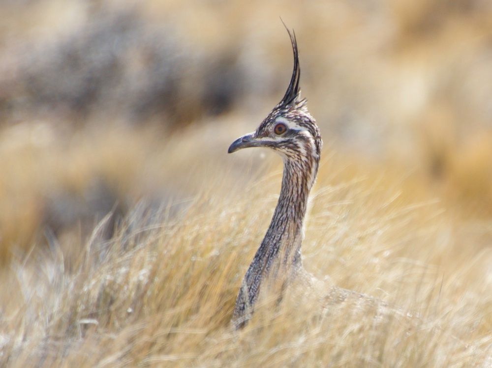 Фотография автора Paula Torrent