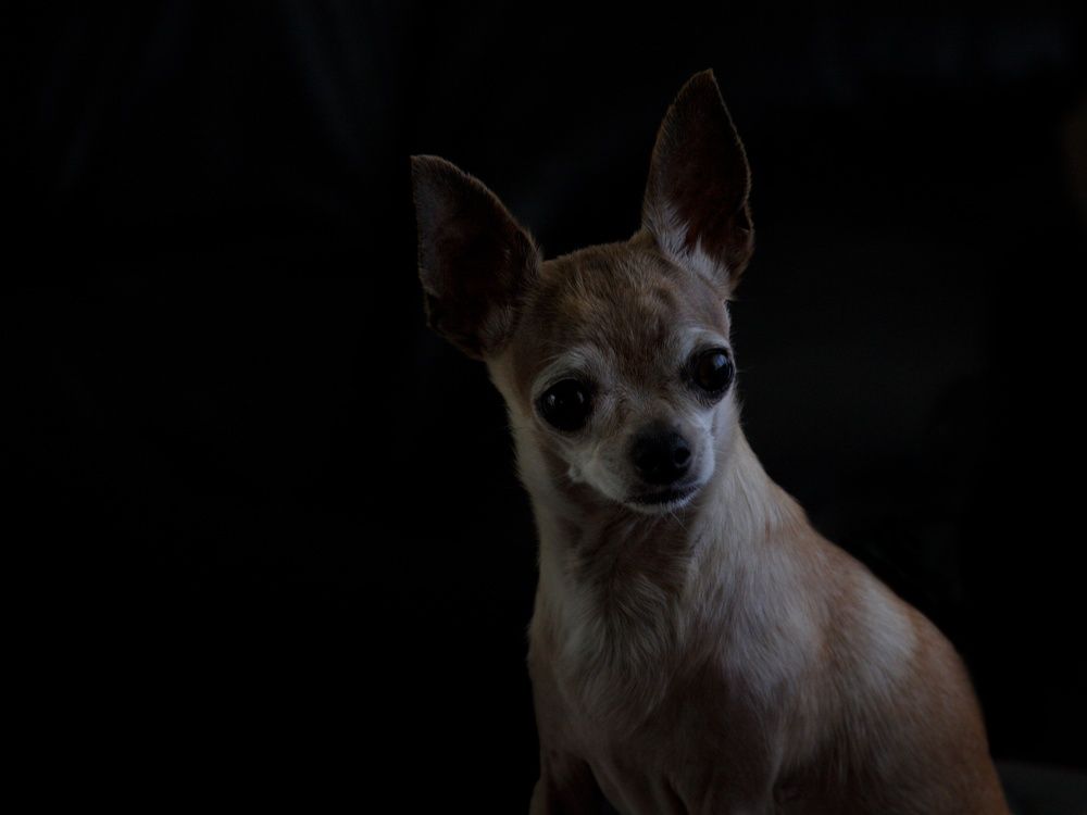 Staying at the dark side