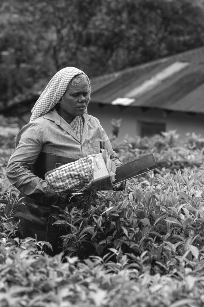 Photograph by hussain makki alqattan