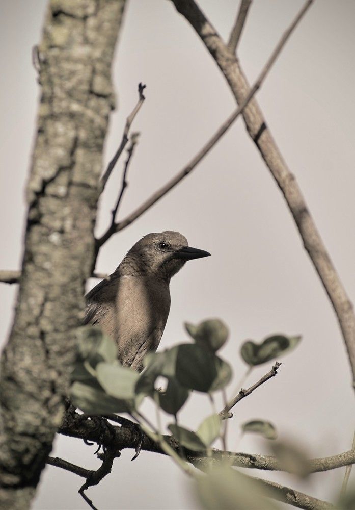 Photograph by Diego Gordillo