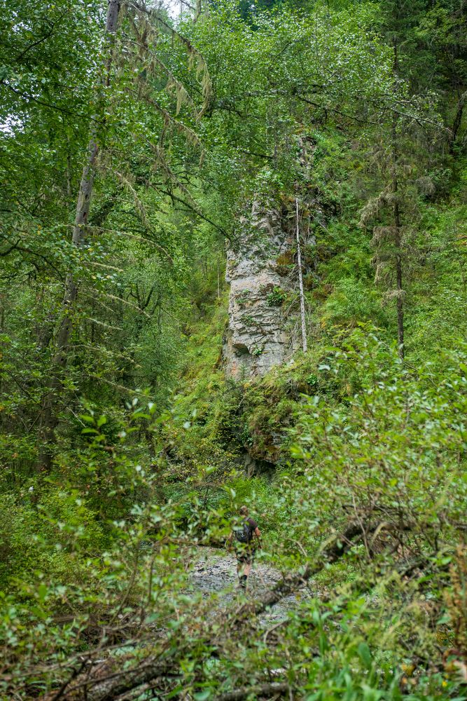 Photograph by Михаил Соколов