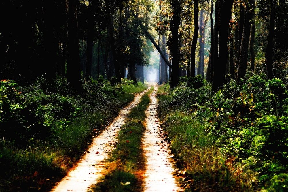 Photograph by pankaj kapoor