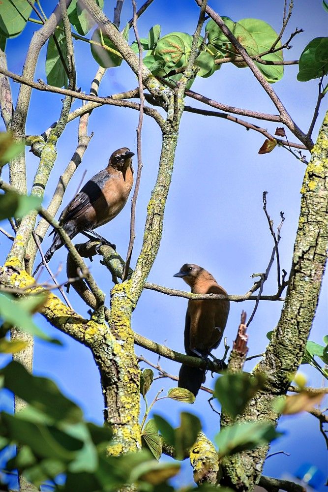 Photograph by Diego Gordillo