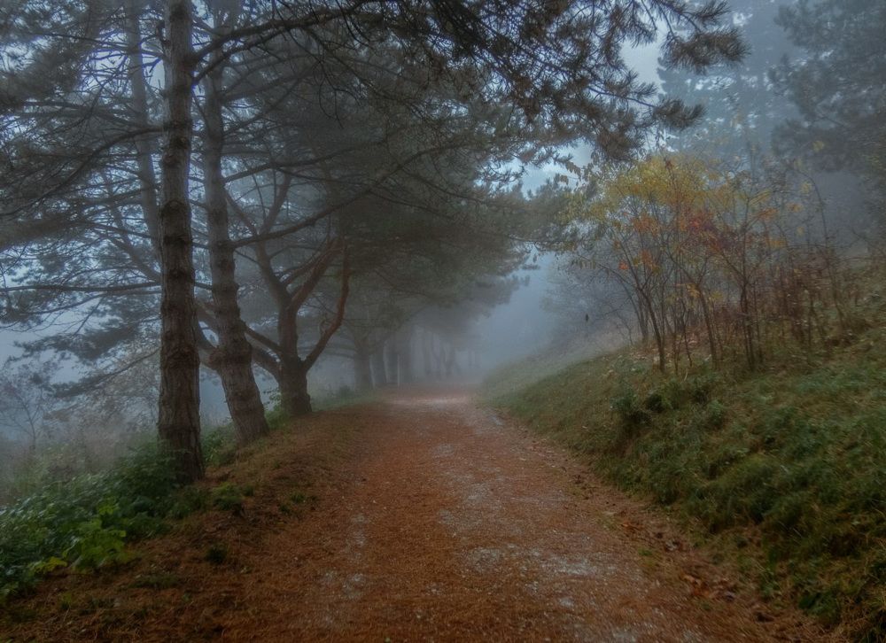 Photograph by Tatiana Alieva